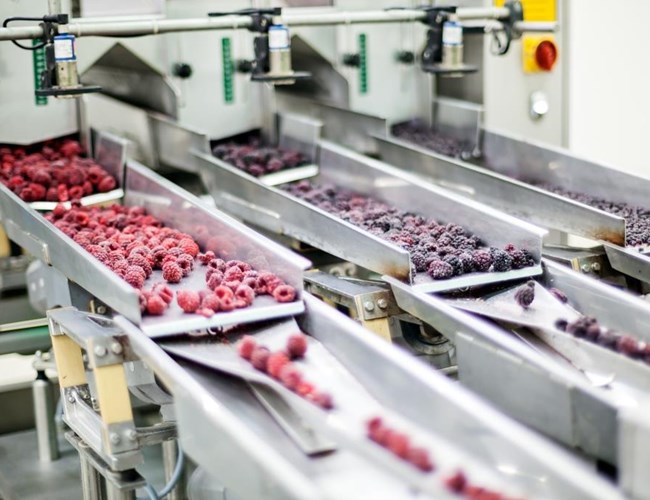 Voedingsmiddelenindustrie fruit