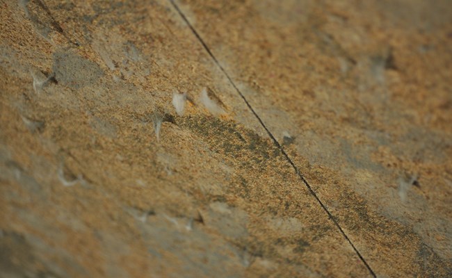 Ernstige schimmelgroei op muur in woning