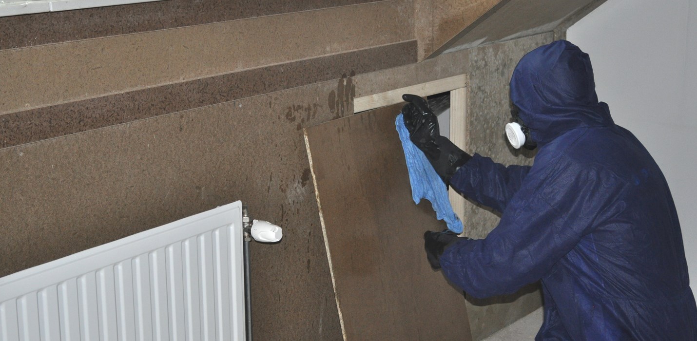 Schimmel verwijderen