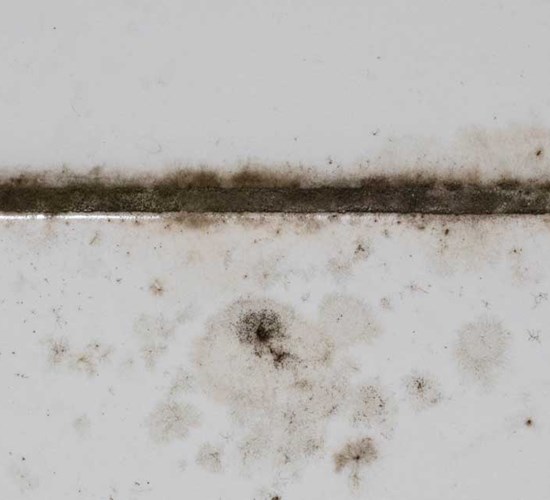 Kylpyhuone on kodin kosteimpia tiloja ja siksi altis homeen muodostumiselle. 