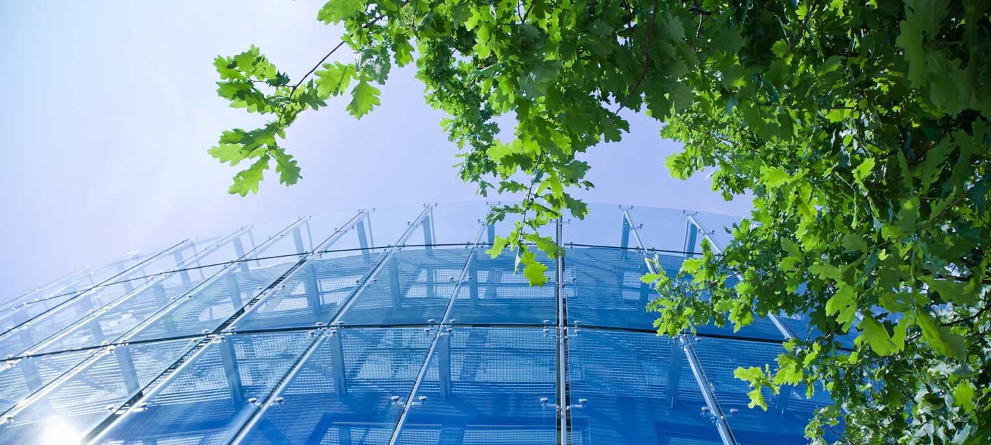 Polygon sitoutuu Science Based Target -aloitteeseen (SBTi)