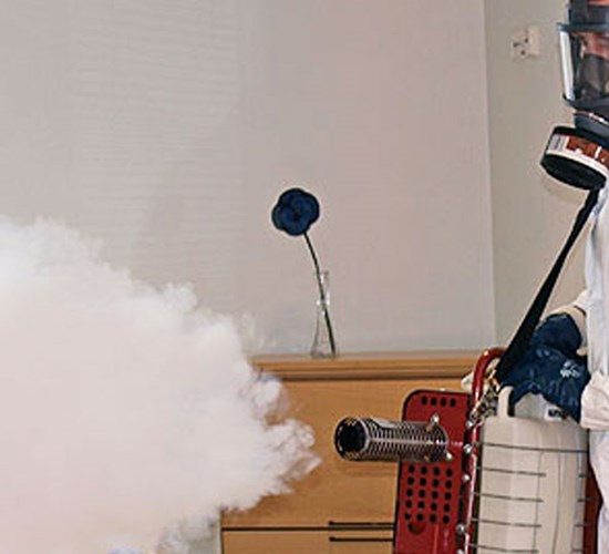 Hajunpoisto -palvelu Polygonilta.