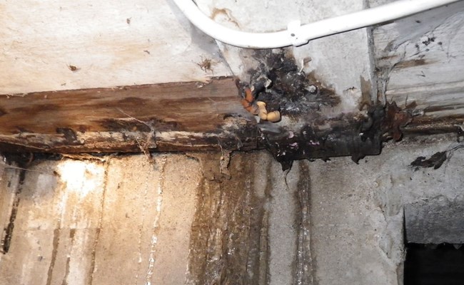 Tietoa kosteusvaurioista ja kosteudesta.