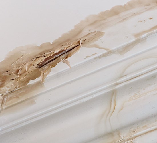 Kosteusvaurioepäily? Toimi näin, kun epäilet kosteusvauriota,