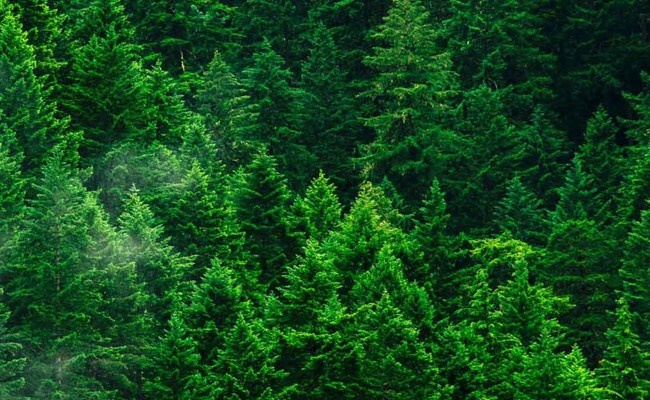 Vähennämme ympäristövaikutuksia ja kustannuksia