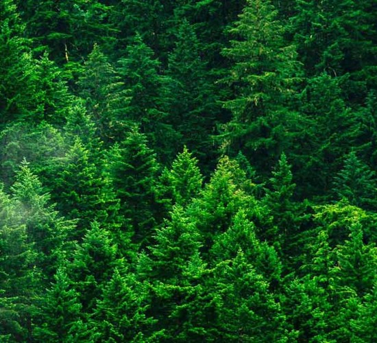 Vähennämme ympäristövaikutuksia ja kustannuksia