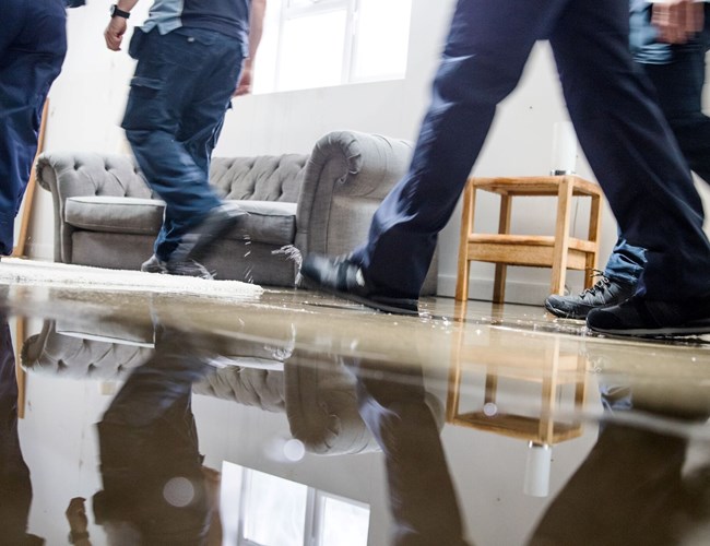 PolyWise - Polygon skapar egen lösning för fjärravläsning via app och sensor