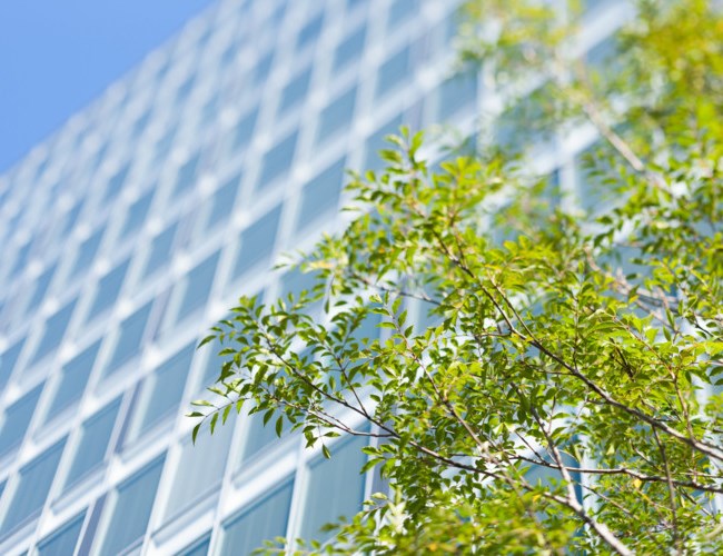 Polygon|AKs projekt nominerat till Årets Stockholmsbyggnad 
mijlö
miljösamordning