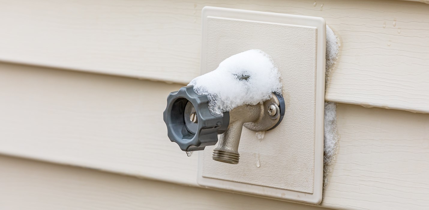 Dubblering av frostskador inleder året 