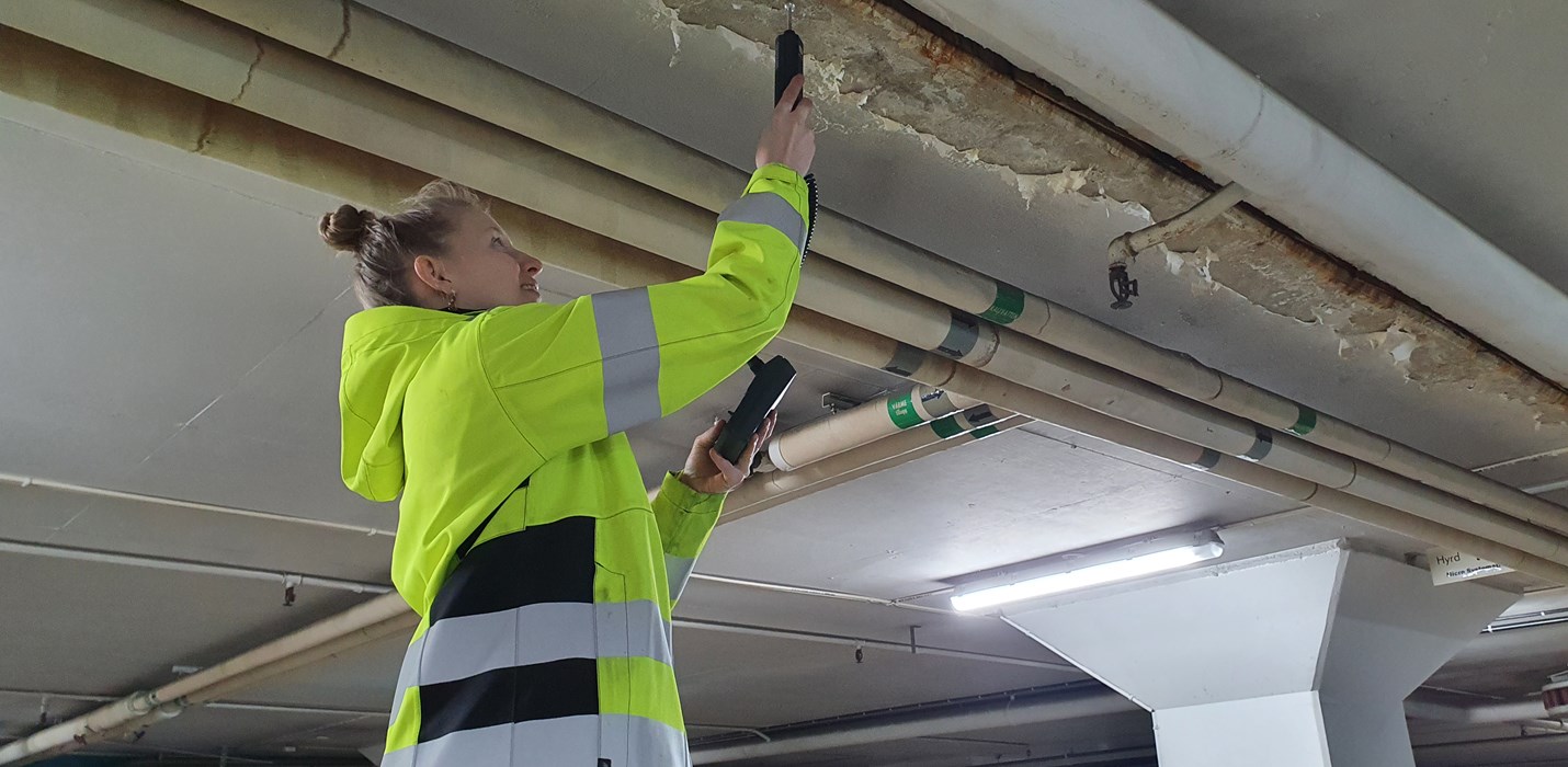 Polygon hedrar Internationella kvinnodagen