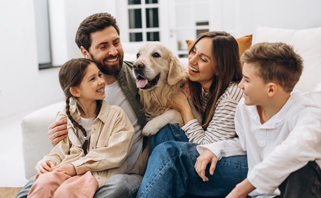 Polygon - skadehantering för privatpersoner