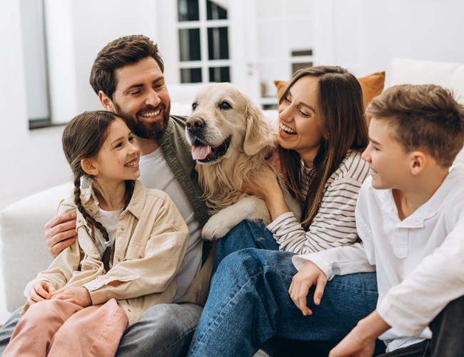 Polygon - skadehantering för privatpersoner