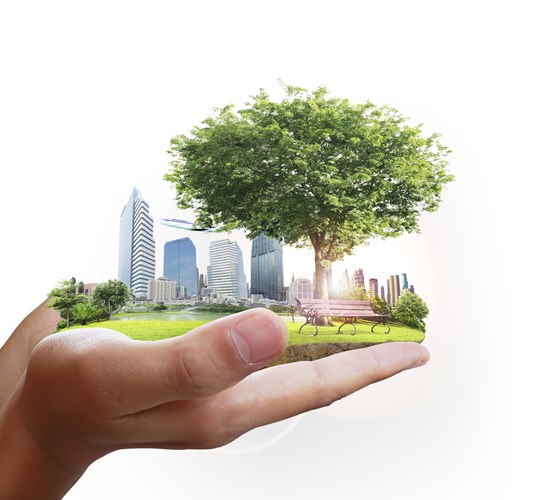 Hela Polygons verksamhet genomsyras av hållbarhet. Vi arbetar skadeförebyggande och vår kärnaffär är att spara värden och resurser.