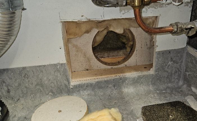 Polygon - Utredning av klimatskal