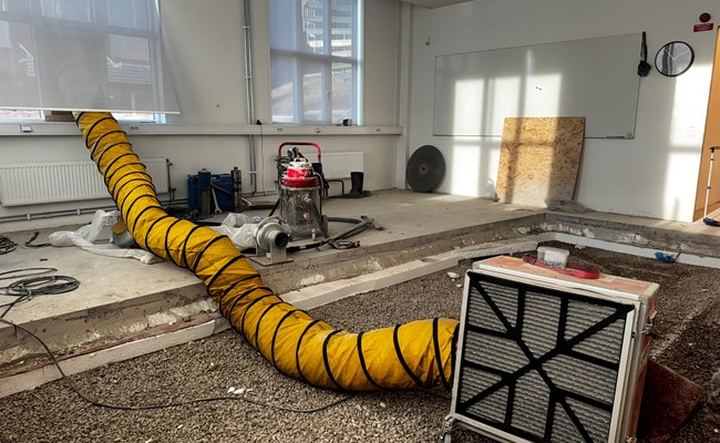 Äkta hussvamp -sanering - fläktar