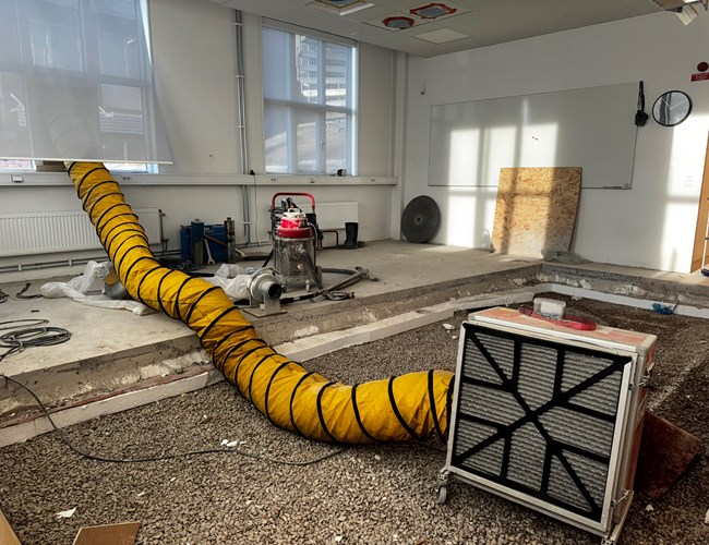 Äkta hussvamp -sanering - fläktar