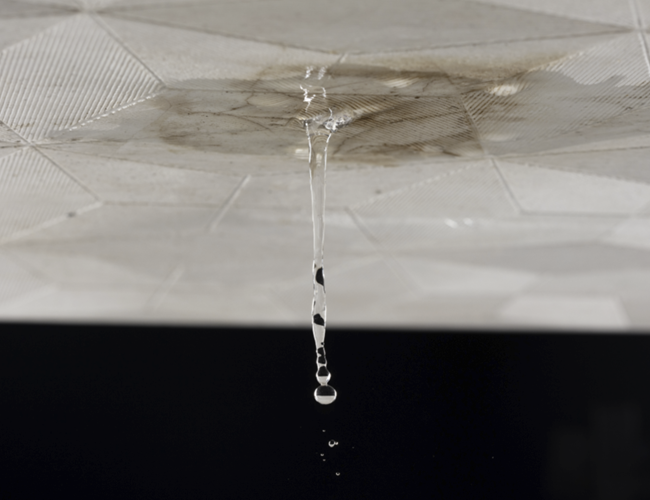 vattenskada från tak