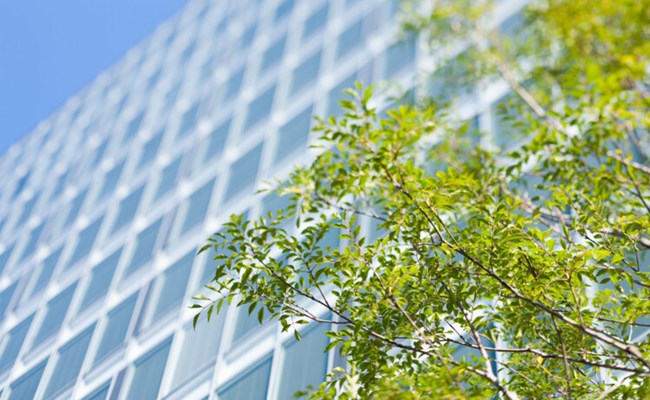 Polygons miljötjänster - miljöcertifiering, miljöinventering, miljösamordning