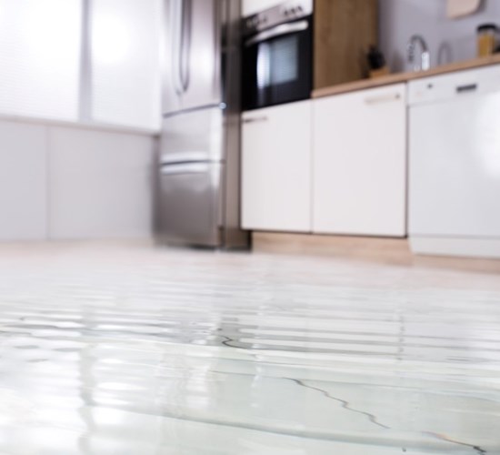 Polygon hjälper dig att hantera skyfallsskador.