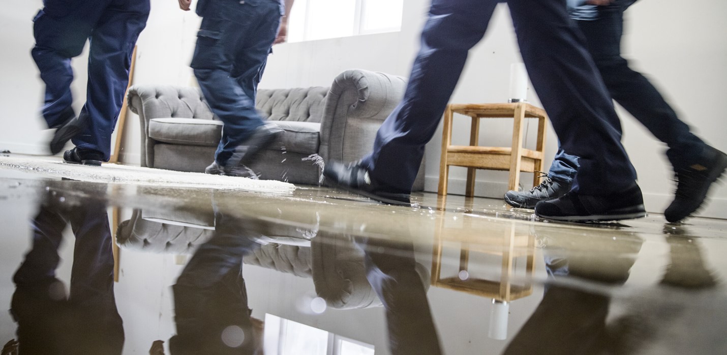 Kund hos Protector? Vad kan vi hjälpa dig med?