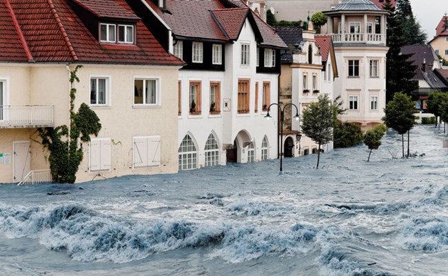 Polygon finns alltid vid din sida för att begränsa de skador som uppstår och hjälpa dig genom återställningsprocessen.