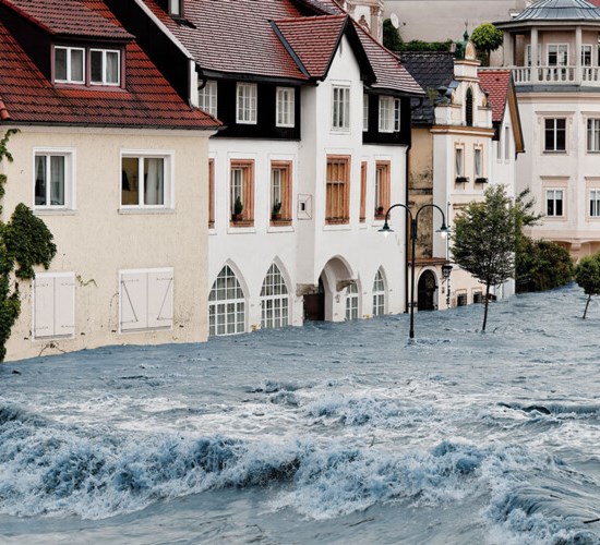 Polygon finns alltid vid din sida för att begränsa de skador som uppstår och hjälpa dig genom återställningsprocessen.